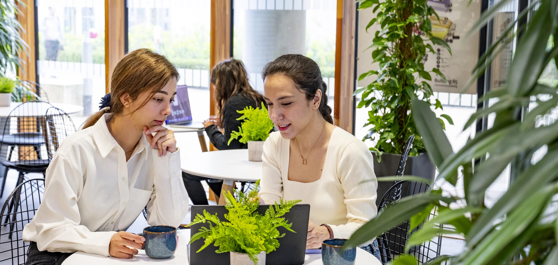 Two students sat at a round table, looking at laptops and holding coffee mugs.